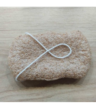 ÉPONGE KONJAC XL CORPS EXFOLIANTE/COQUE DE NOIX