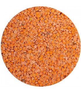 LENTILLES CORAIL Bio 250g