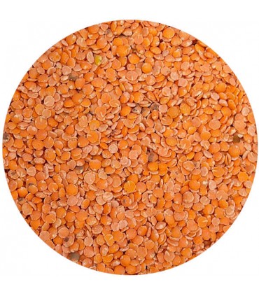 LENTILLES CORAIL Bio 250g