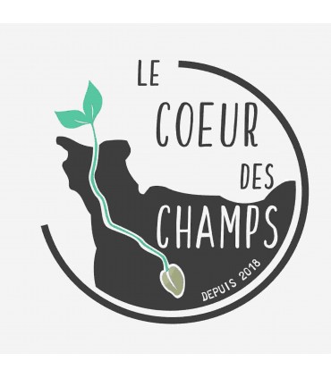 LENTILLES VERTES Bio 250g