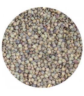 LENTILLES VERTES Bio 250g