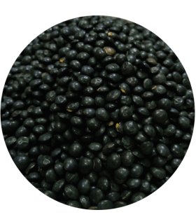 LENTILLES BELUGA Bio 250g