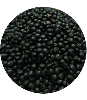 LENTILLES BELUGA Bio 250g