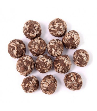 NOISETTES CHOCOLAT COCO Bio 100g
