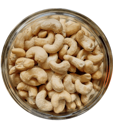 NOIX DE CAJOU ENTIER Bio 100g