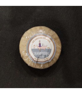 SHAMPOING SOLIDE ANTIPELLICULAIRE 80G (HE)