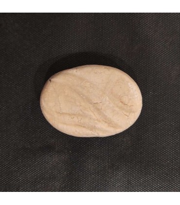 SHAMP GLAMOUROUS 65G VRAC