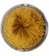 SPAGHETTIS 1/2 COMPLETS Bio 250g