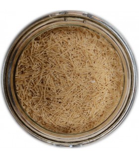 VERMICELLES 1/2 COMPLÈTES Bio 250g