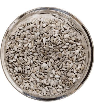 GRAINE DE TOURNESOL Bio 100g