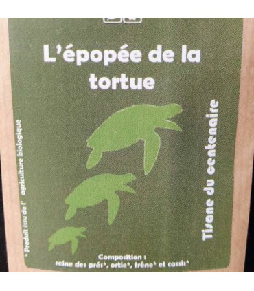 L’EPOPEE DE LA TORTUE