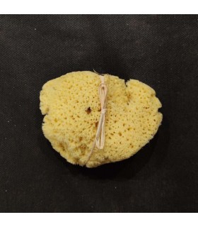 ÉPONGE NATURELLE JOLIS BAUMES