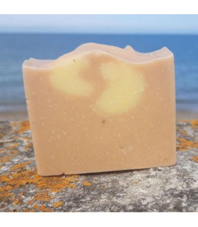 SAVON "SIMPLISSIME" 100G