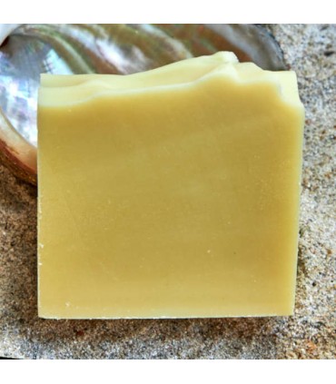 SAVON GOMMANT "OSTREA" 100G