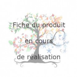 CAFÉ DÉCAFÉINÉ MEXIQUE Bio en grain 100g