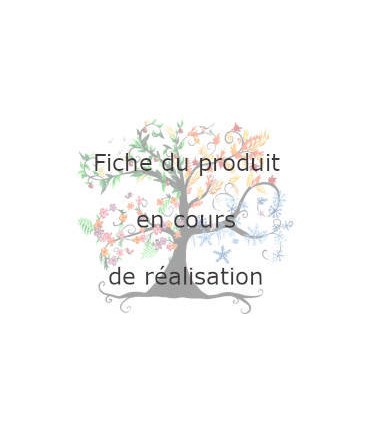 CAFÉ DÉCAFÉINÉ MEXIQUE Bio en grain 100g