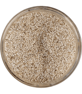 GRAINE DE SESAME Bio 250g