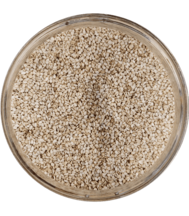 GRAINE DE SESAME Bio 250g