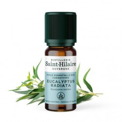 HE EUCALYPTUS RADIATA BIO 10ML