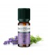 HE LAVANDE VRAIE BIO 10ML