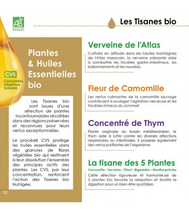 CONCENTRÉ DE THYM 20 SACHETS