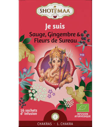 INFUSION JE SUIS SAUGE GINGEMBRE & FLEURS DE SUREAU 16 SACHETS