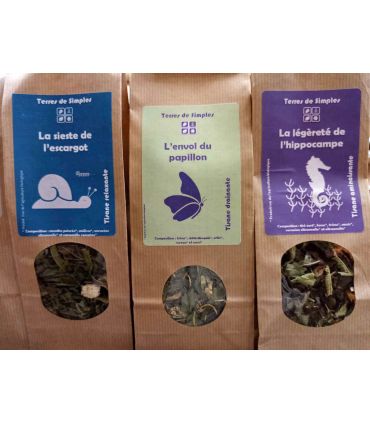 L’ENVOL DU PAPILLON