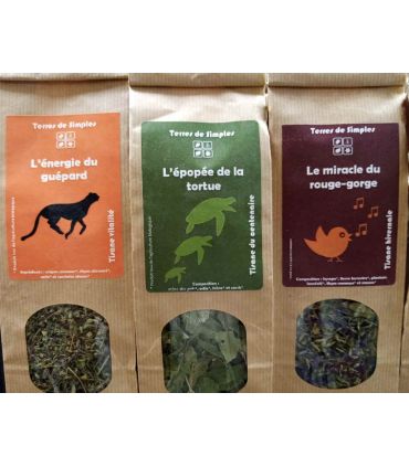 L’EPOPEE DE LA TORTUE