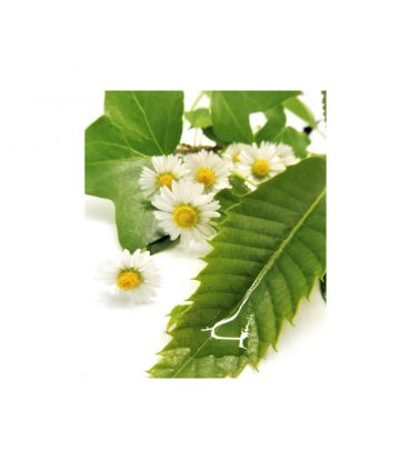 HUILE DE BEAUTE «MURMURE » 50ML